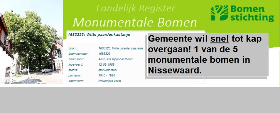 Monumentale boom moet snel om!