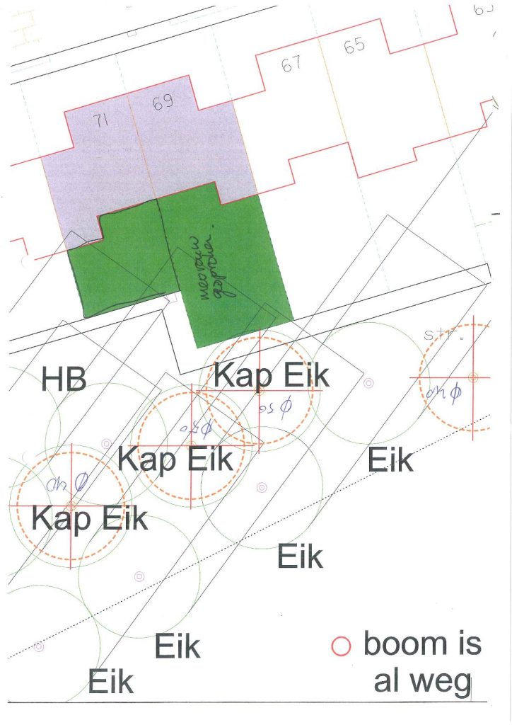 Kapmelding 07-11-2016 | Kap van 3 bomen Chopinstraat