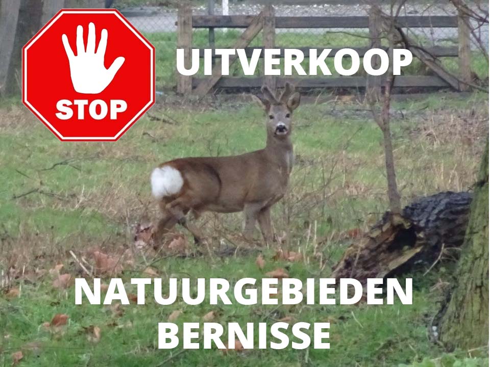 Stop Uitverkoop Natuur Bernisse