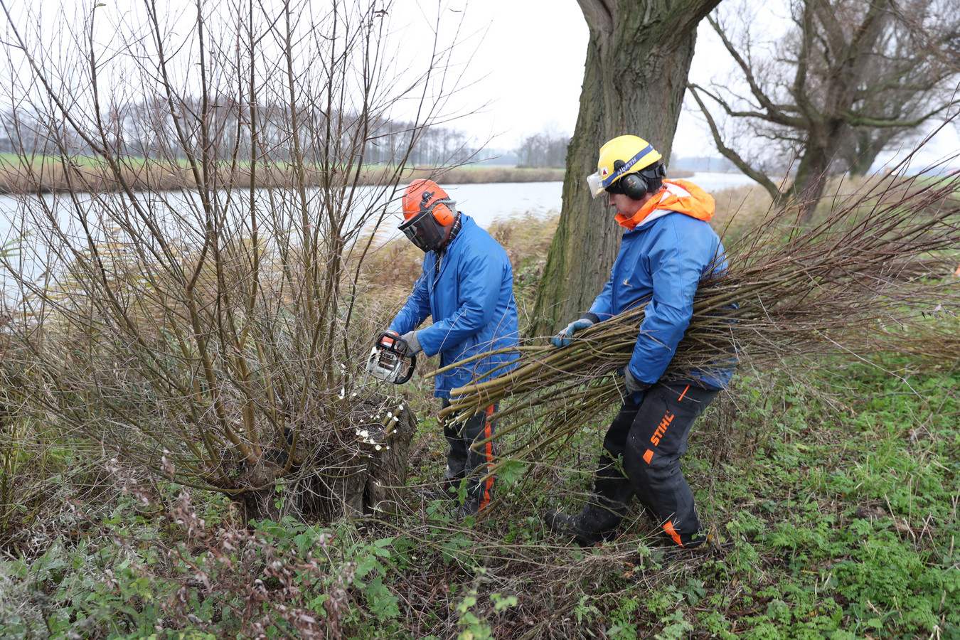 Schaamgroen compensatie Bernisse